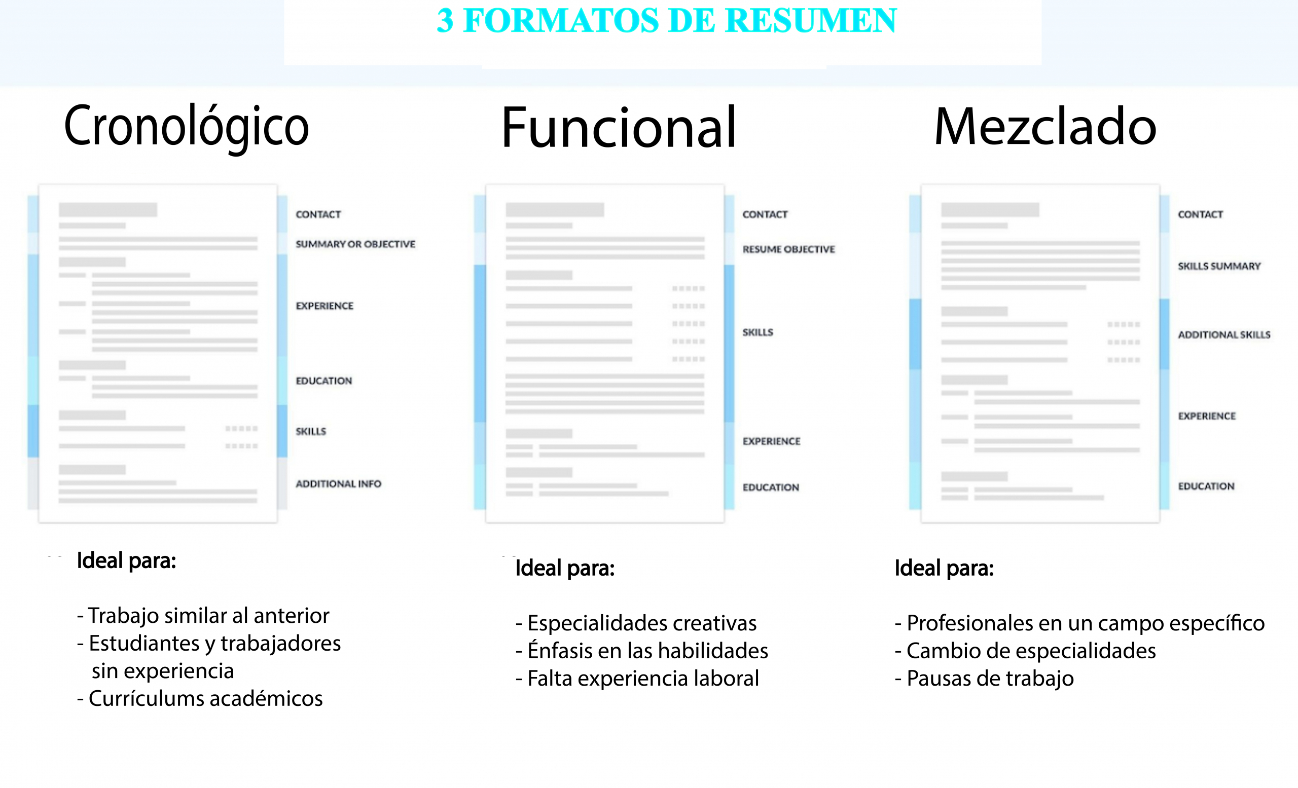 Estructura De Un Currículum Fuente Longitud Y Diseño Cv2you Blog 0801